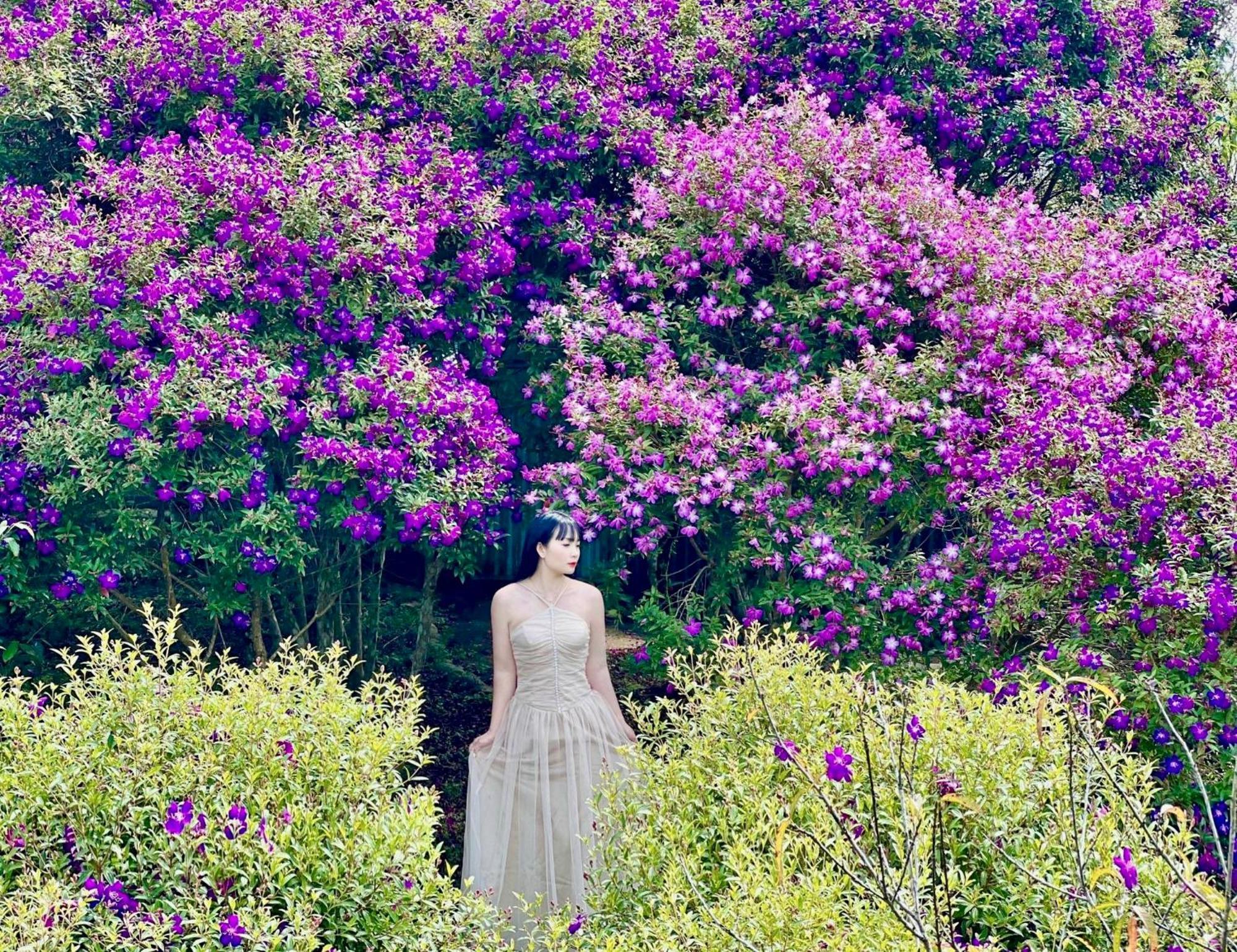 Khong Gian Van Hoa Tra Suoi Giang Nghia Lo Exterior foto